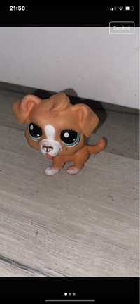 Littlest pet shop