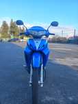 Viper Active 110