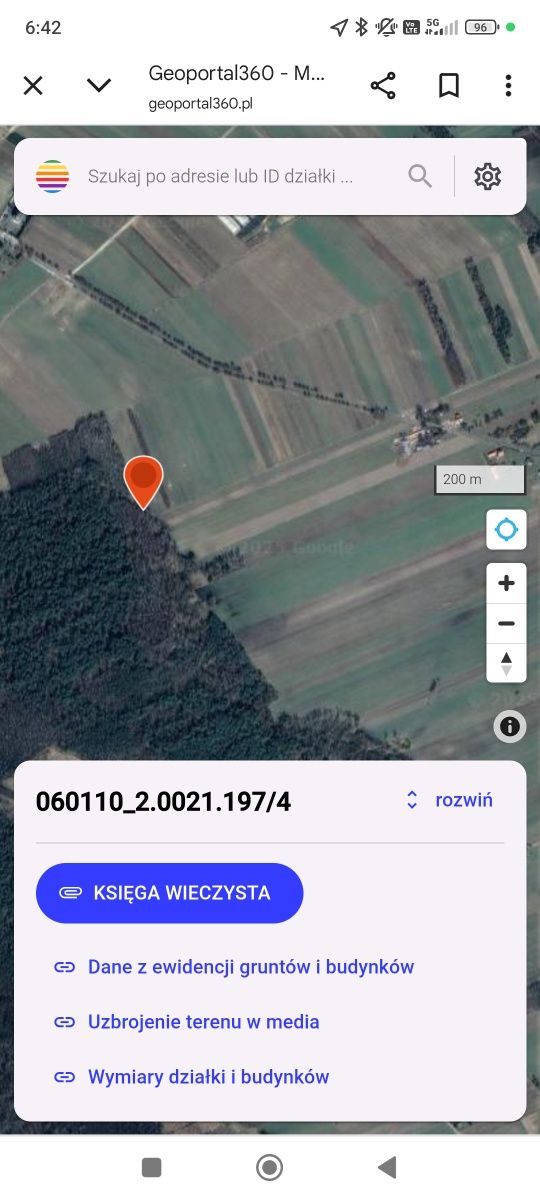 Działka leśna, las brzozowy 45 ar