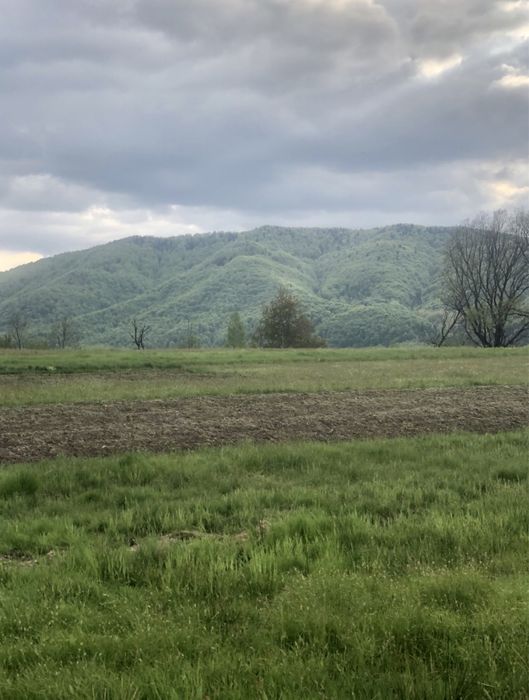 Земельна ділянка
