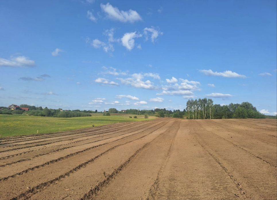 MulczerLesnyWgłębnyWycinkaDrzewSamosiewówPraceZiemneUsługiKoparką