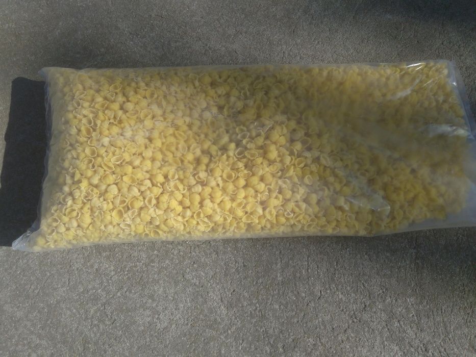 Makaron drugi gatunek. Możliwa wysyłka.