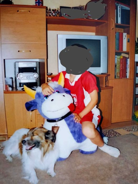 Zestaw mebli pokojowych, meblościanka