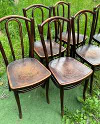Старинные коллекционные венские стулья TONET