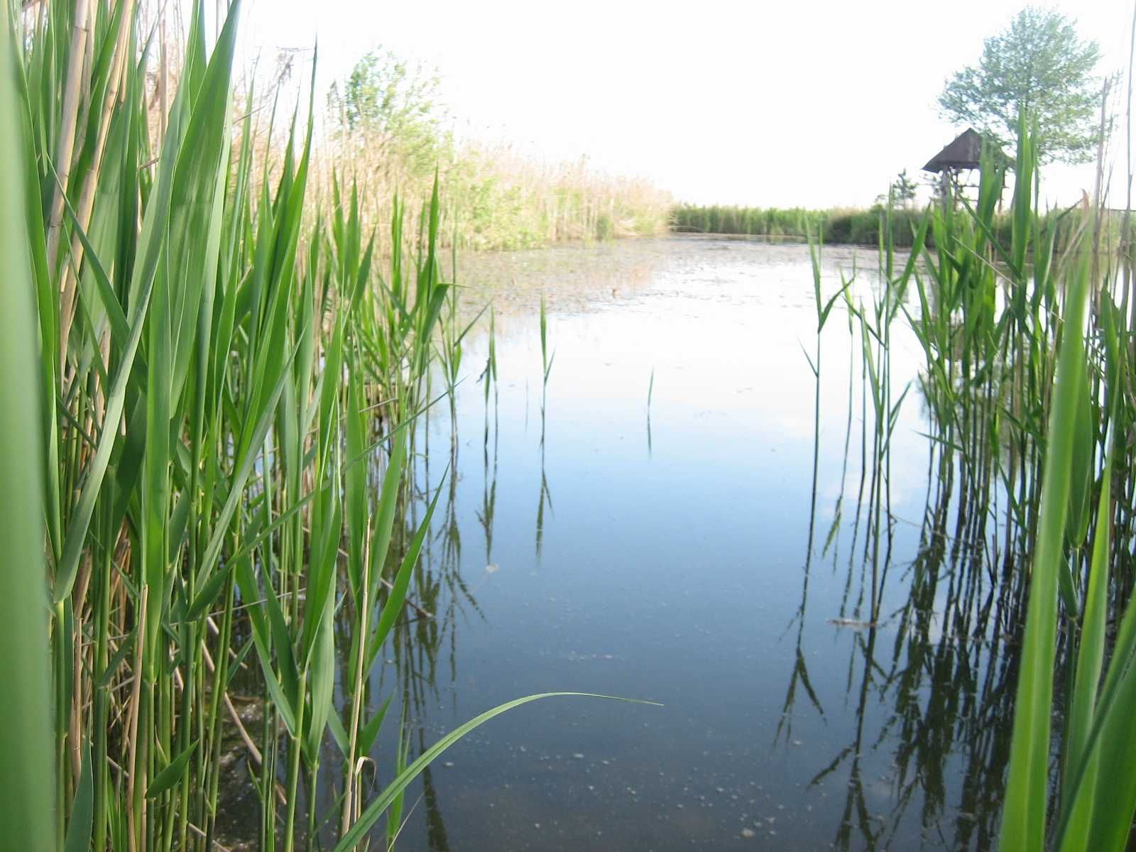 Agroturystyka , noclegi k/Olesna, konie,wędkowanie,bilard,lasy,zalewy