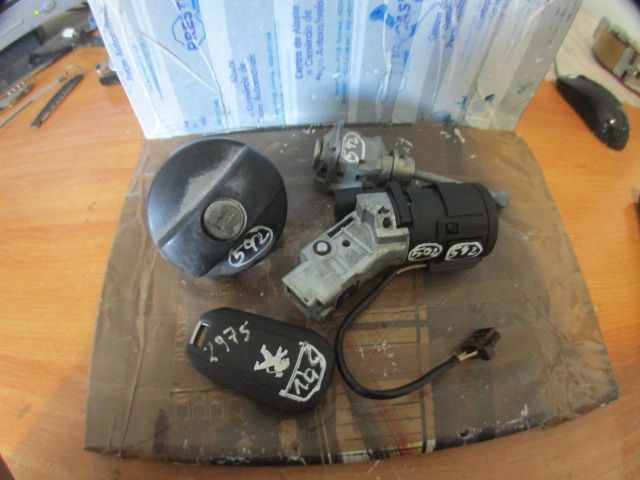 Canhão 36454600  9663123380 PEUGEOT 208 2014 1.4HDI 70CV 5P BRANCO KIT