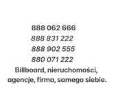 Złoty/Platynowy numer Orange/Play/Timobile/Plus