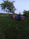 Rodziny pszczele, ule, roje -250zl