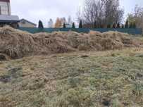 Oddam za darmo skoszoną trawę