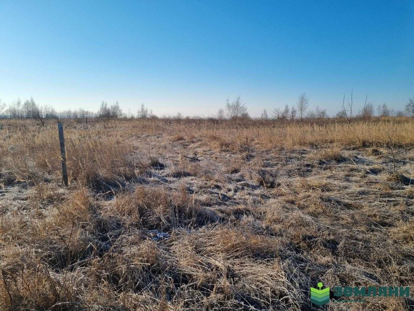Продаж земельної ділянки 12 сот під будівництво с.Колодіївка
