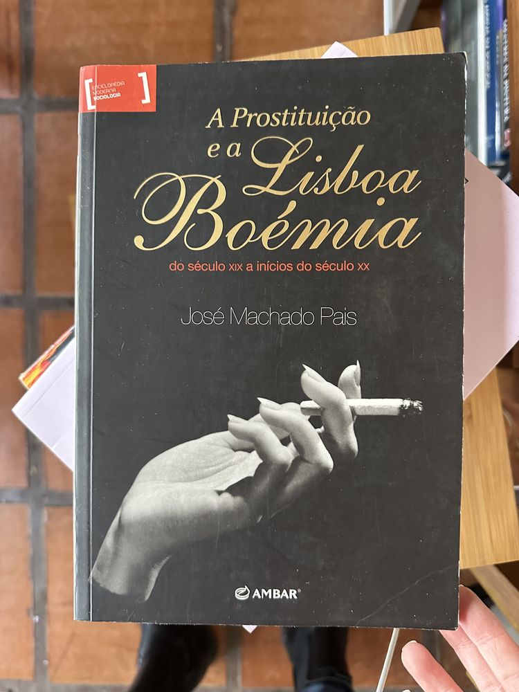 livro A Prostituição e a Lisboa do século xix a inícios do século XX de José Machado Pais.
