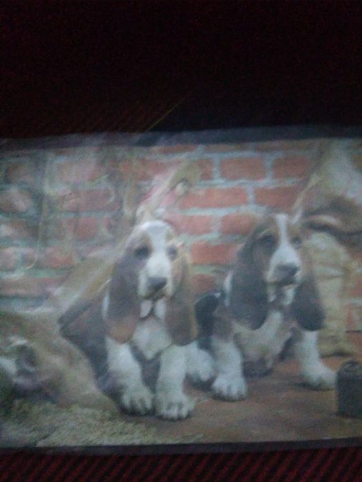 Пано  плакат  СССР