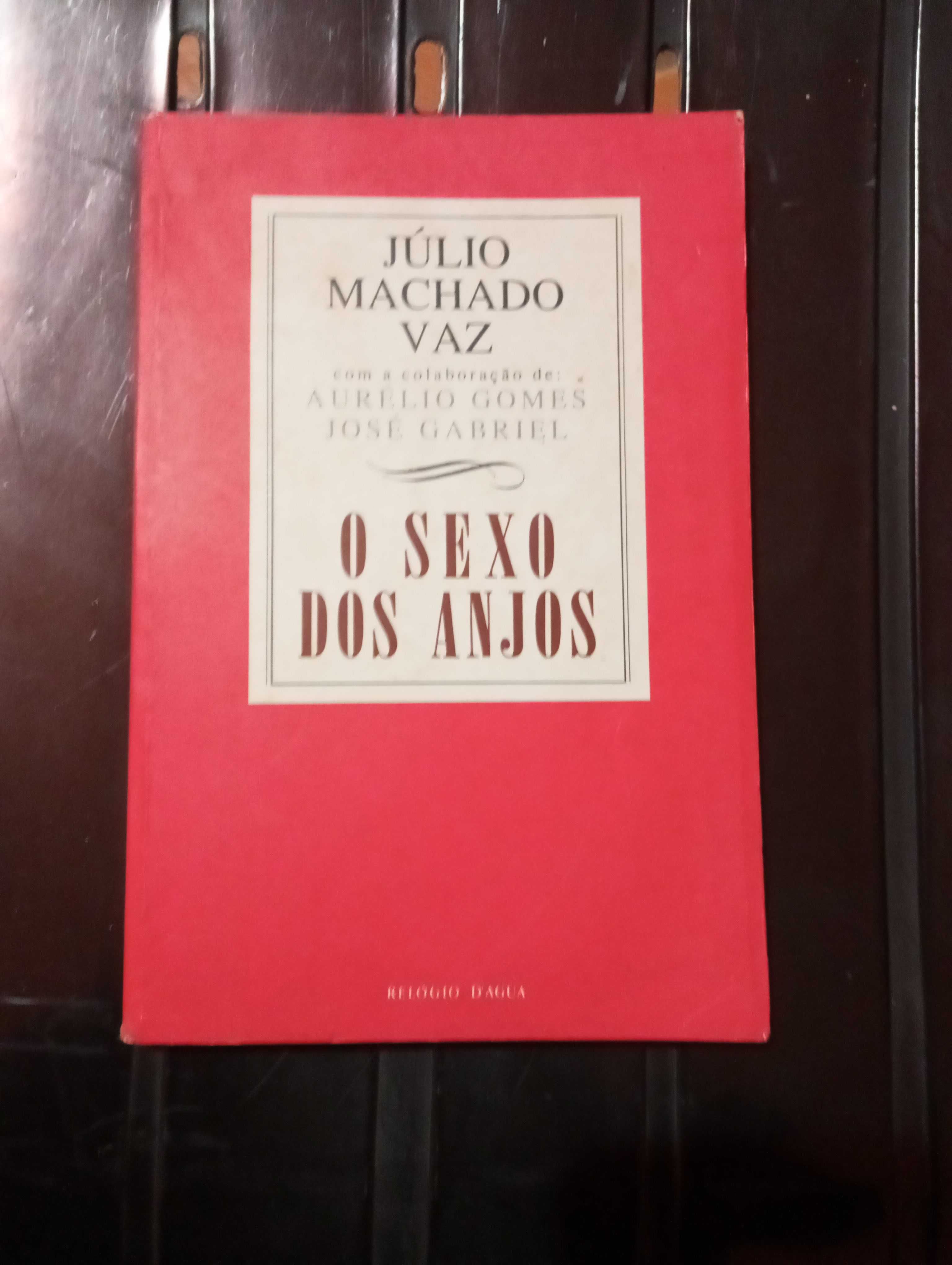 Júlio Machado Vaz - O sexo dos anjos