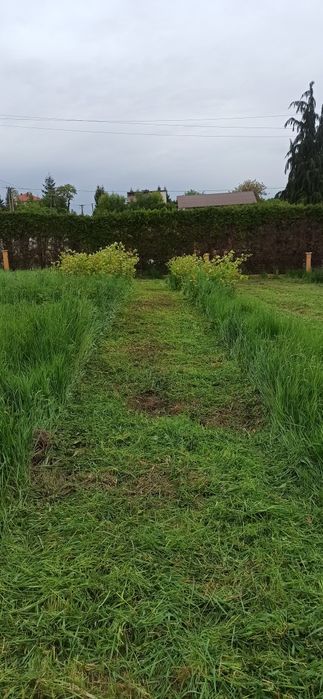 Koszenie kosiarką bijakową tranawników łąk ścierniska  mulczowanie