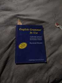 Книга по английскому English grammar  in use Cambridge грамматика