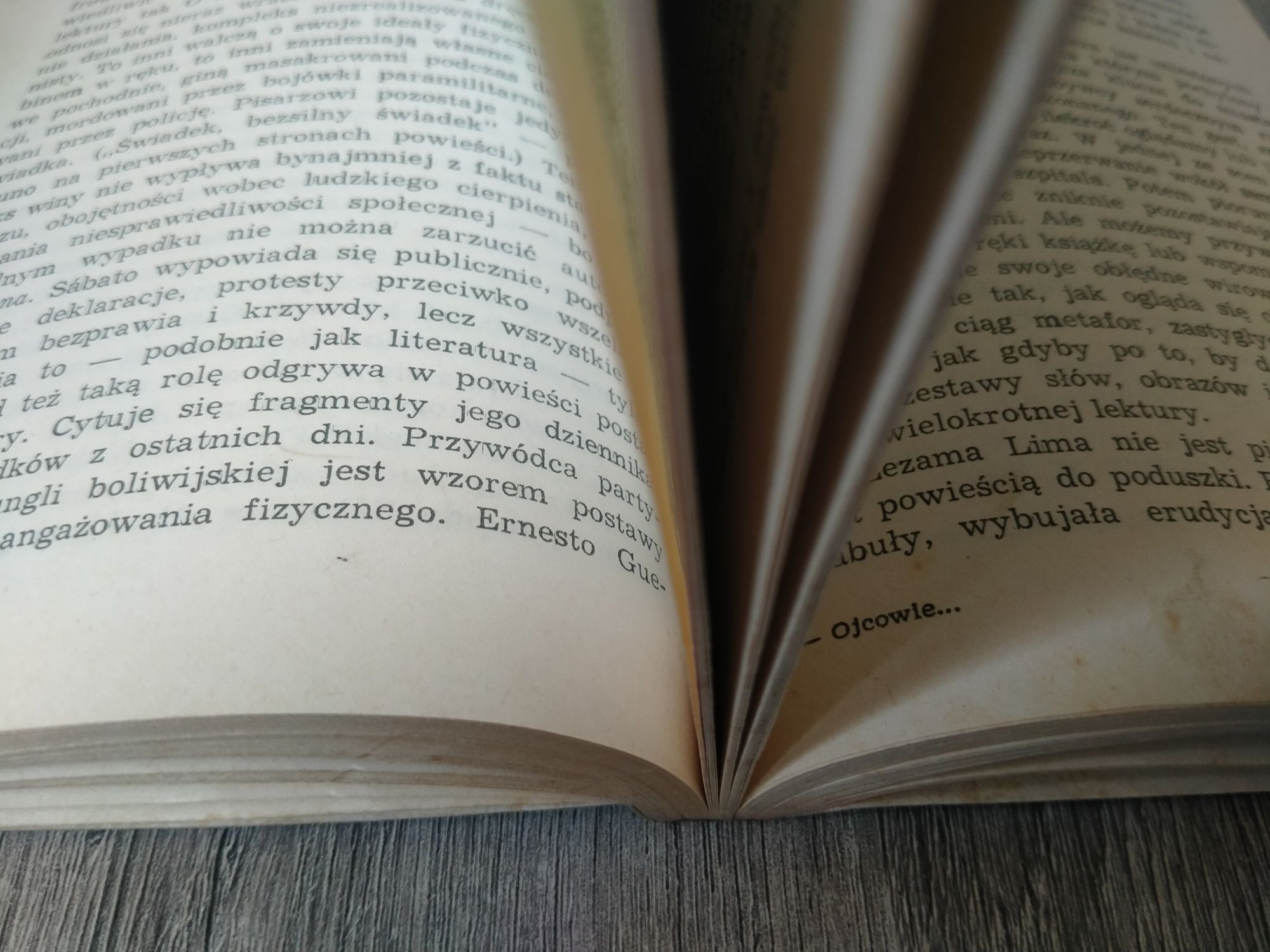 Jerzy Kühn Ojcowie i ojcobójcy szkice literaturze Ameryki hiszpańskiej