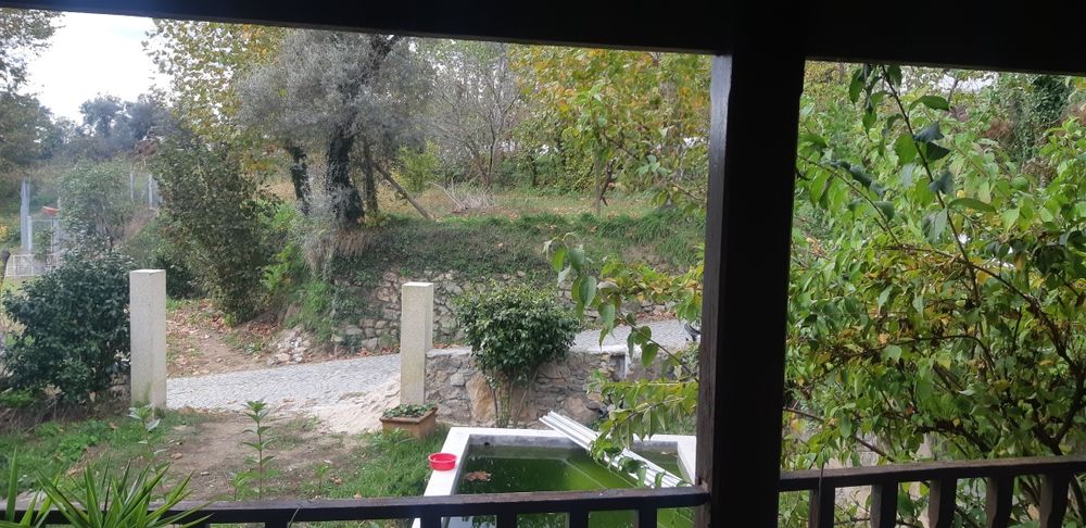 Casa para alugar em Celorico de Basto