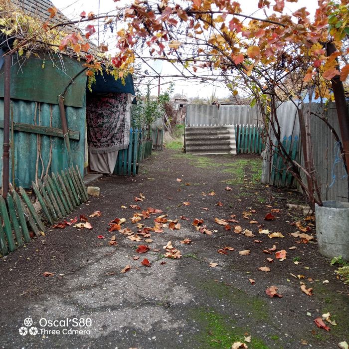 Продам дом в селі Курісове