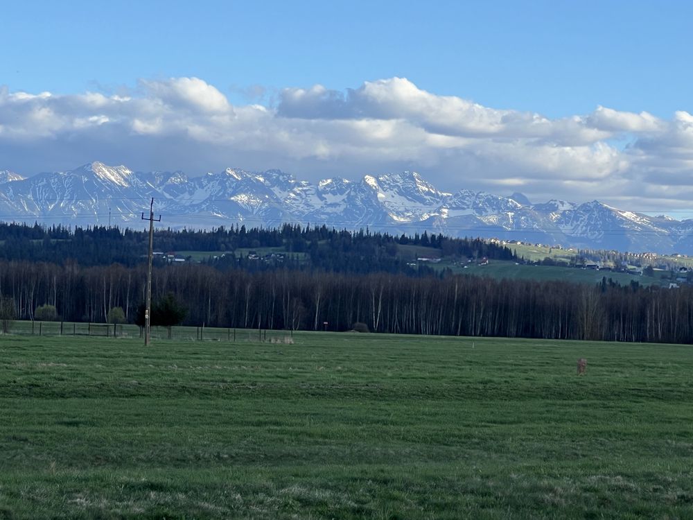 Wynajem domek w górach Zakopane