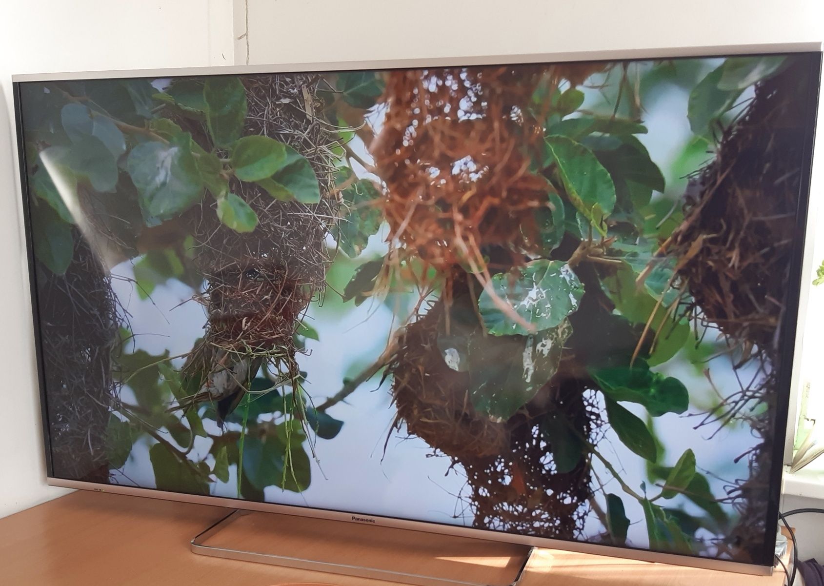 Телевизор Panasonic, 55 диагональ, Smart TV