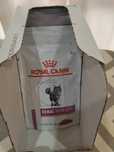10 saquetas royal canin gato