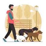 Passeio de cães – horários flexíveis