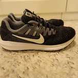 Buty sportowe Nike Pegasus Zoom Structure 40