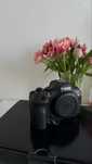 Canon R6 Mark II  na gwarancji w idealnym stanie.