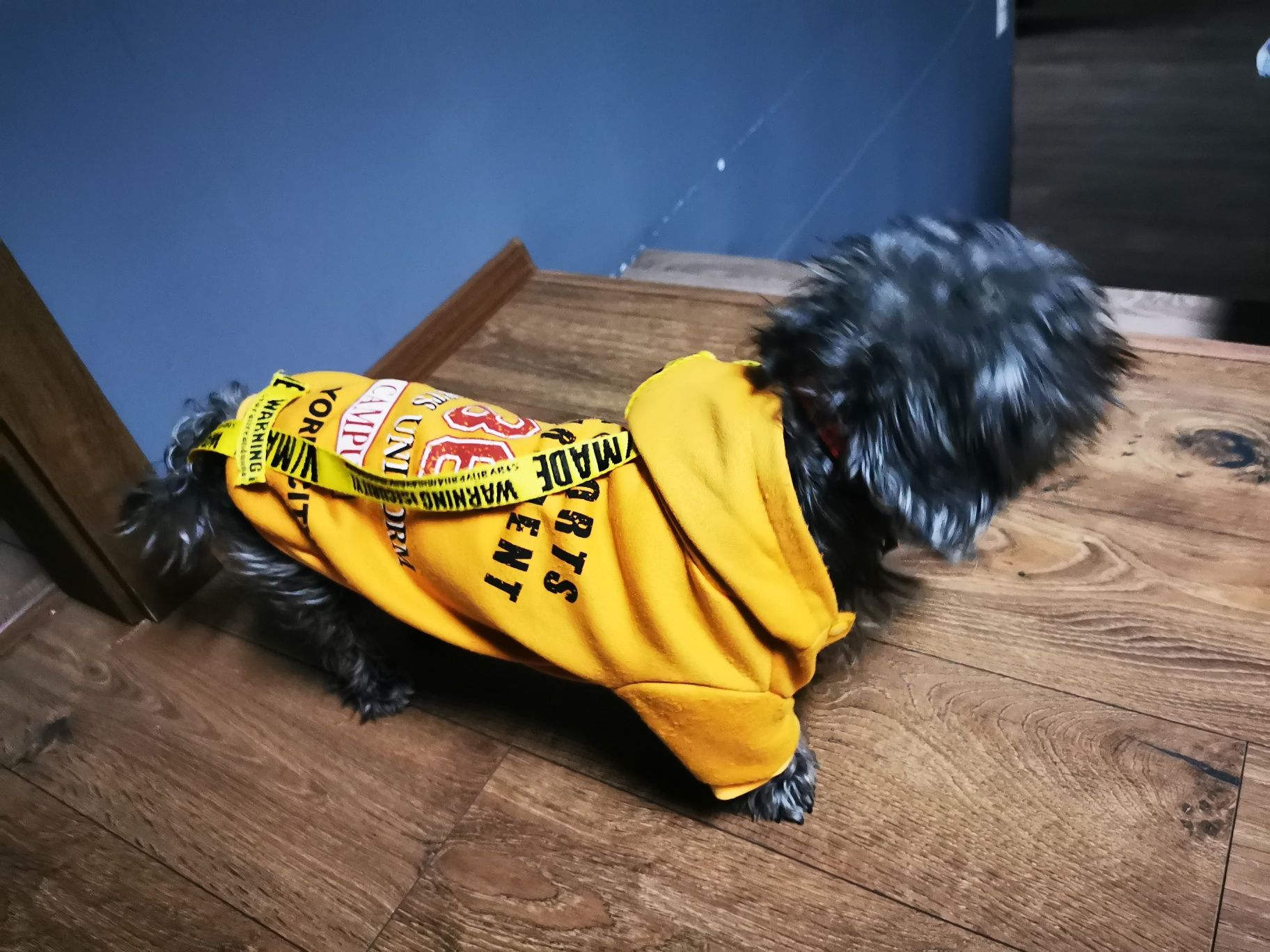 Ubranko sweterek dla psa