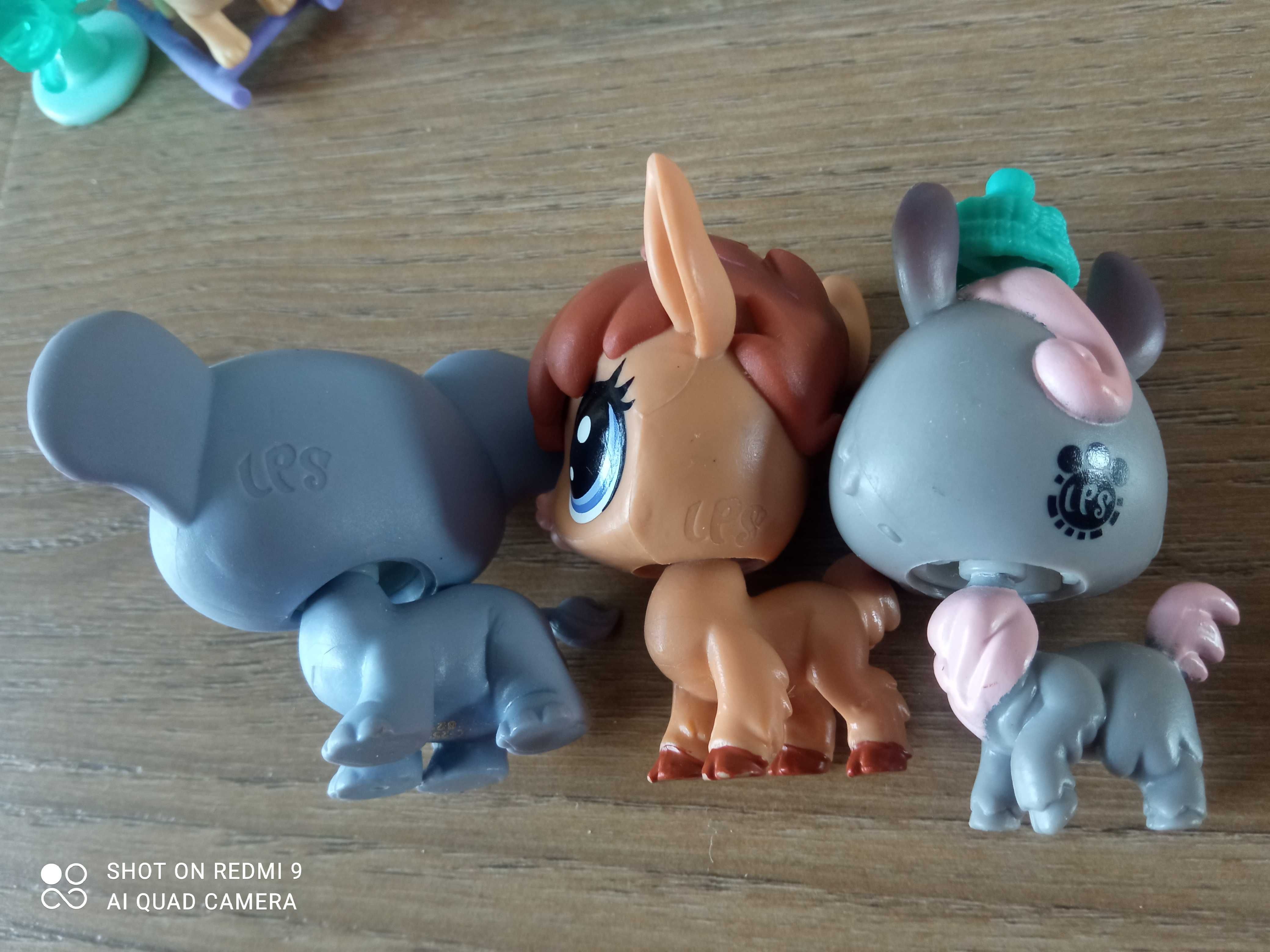 LPS, Little pet shop, zestaw