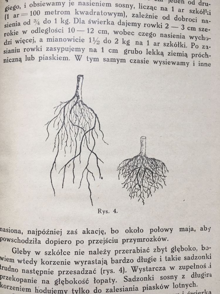 Zalesianie i zadrzewianie nieużytków Kloska 1935 leśnictwo