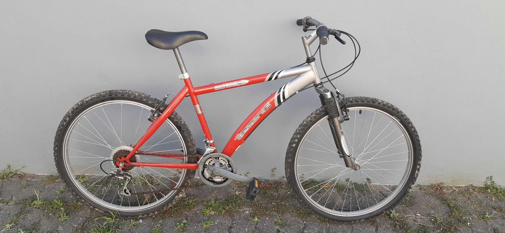 Bicicleta TEAM Nature-F80