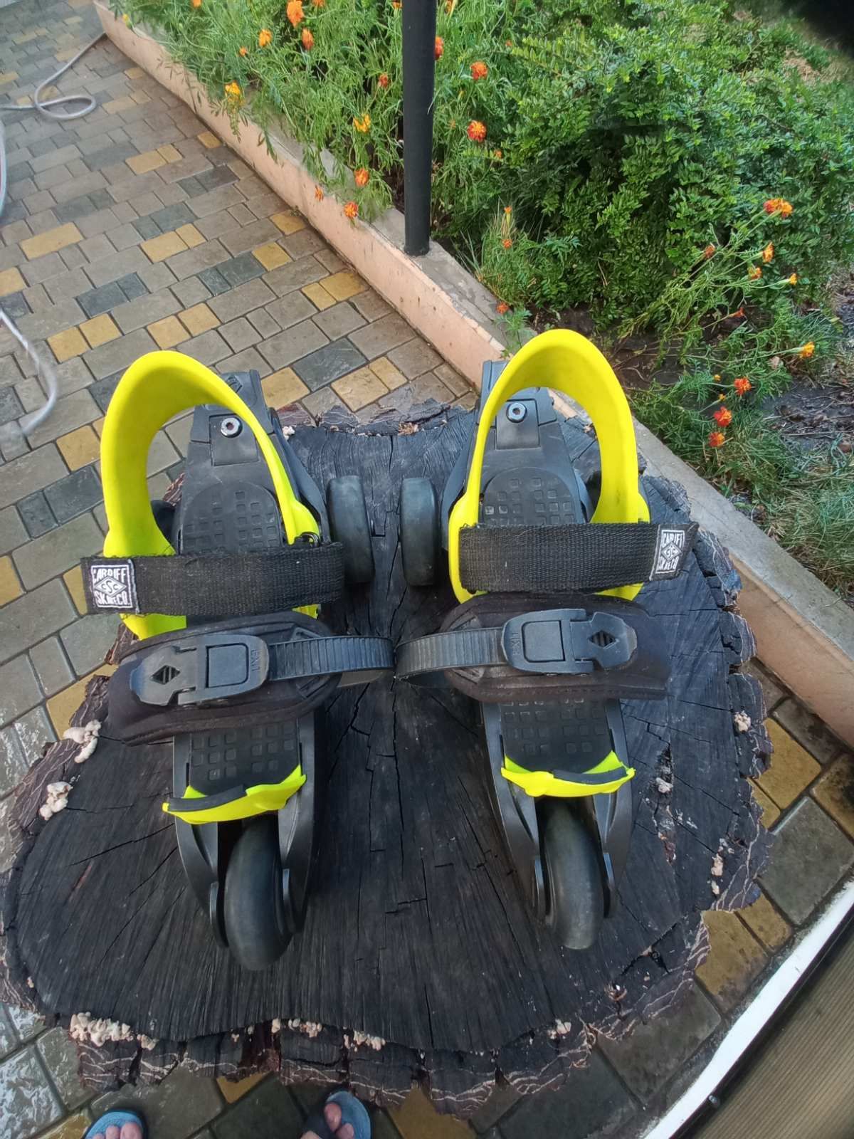 Роликовые коньки Cardiff Cruiser Youth