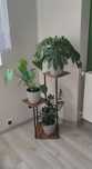 Kwietnik loft metalowy 3 półki