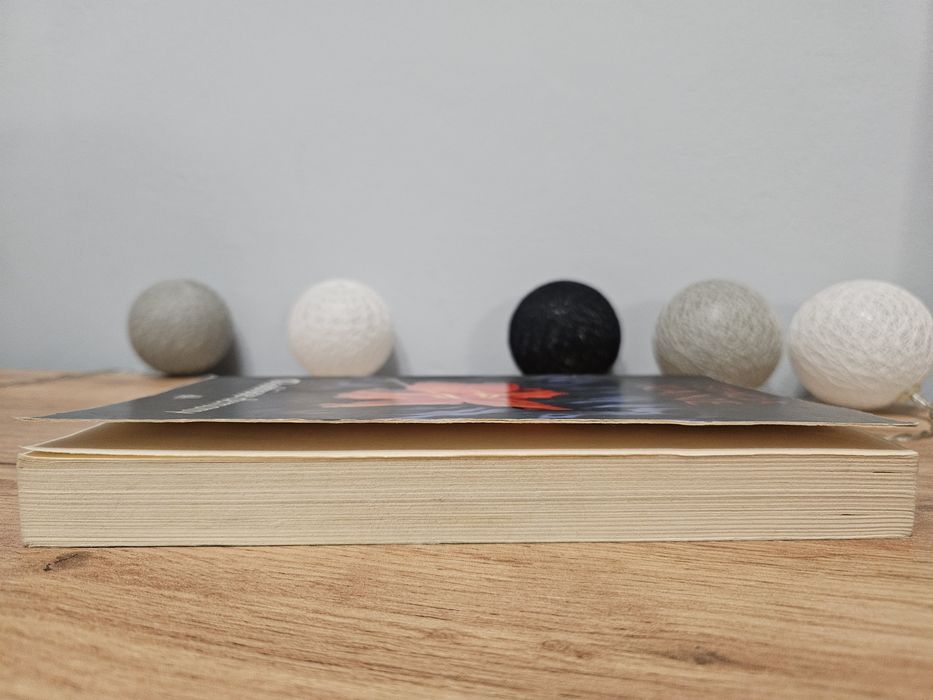 Stacia Kane Osobiste demony wydawnictwo Amber