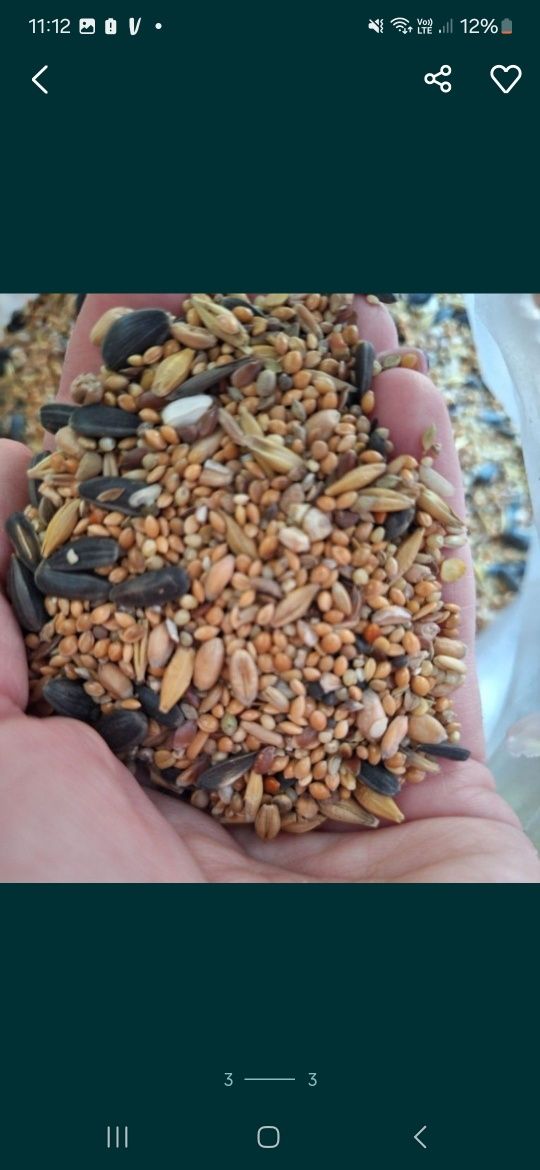 Pokarm zimowy Danimo do karmnika 14 kg. Mieszanka Dla ptaków zimującyc