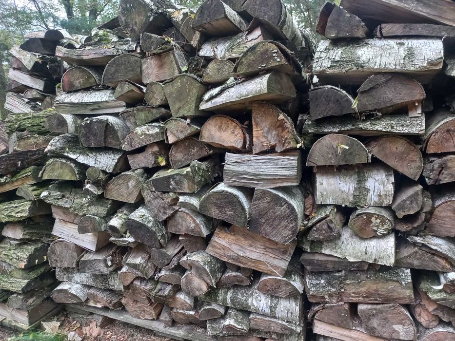 Drewno brzoza akacja sezonowane