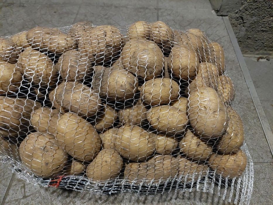 Sprzedam ziemniaki Irga