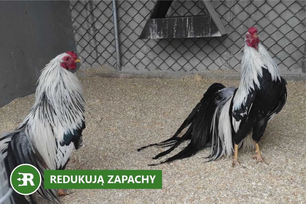 Odpylone, bezzapachowe trociny dla drobiu - 15 kg, 550 litrów