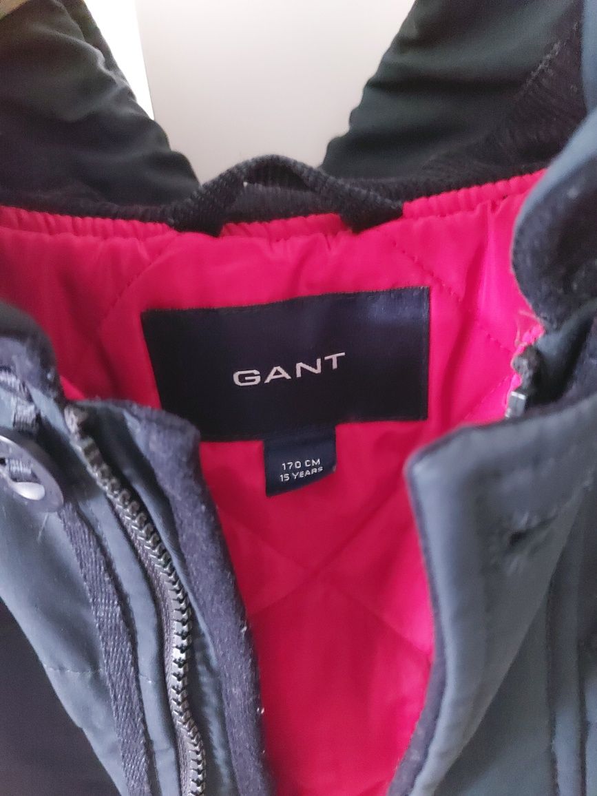 Kurtka granatowa Gant
