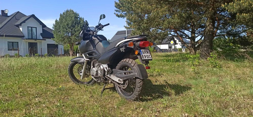 Suzuki xf 650 freewind