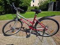 Rower Giant GSR1