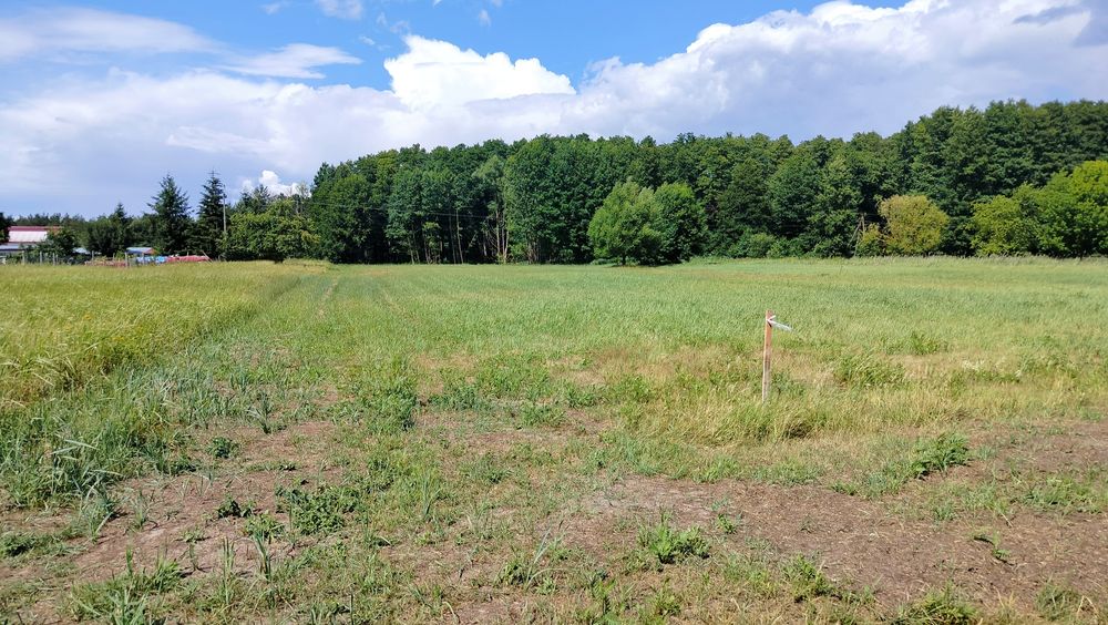 1.800 m pod budowę domu lub teren rekreacyjny nad Odrą