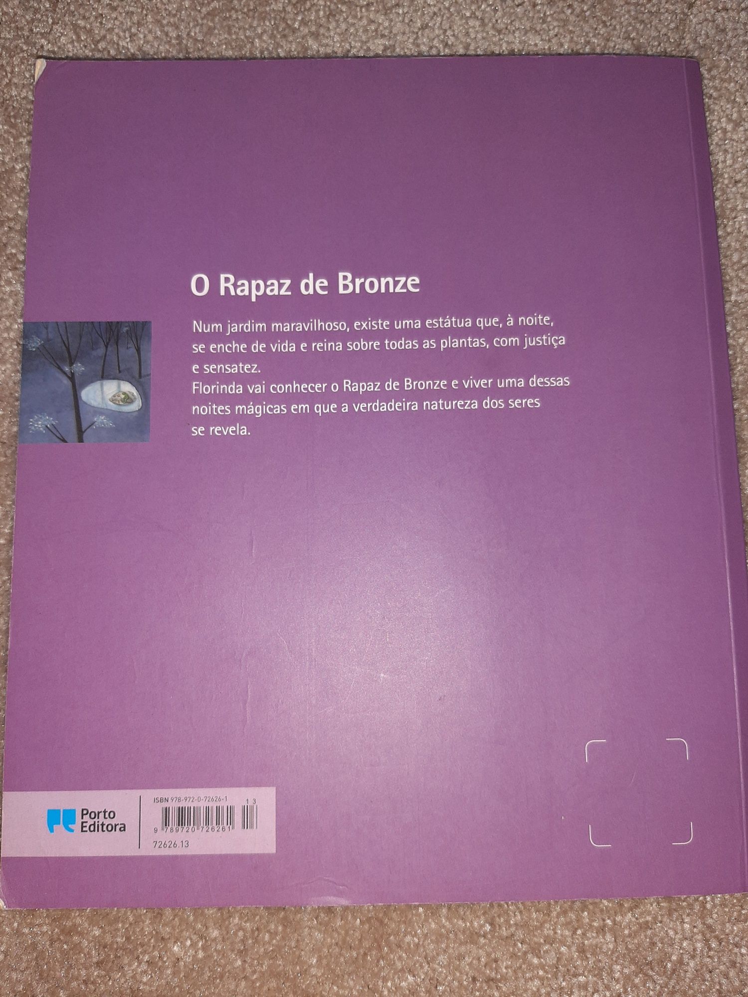 A Saga e O Rapaz de Bronze
