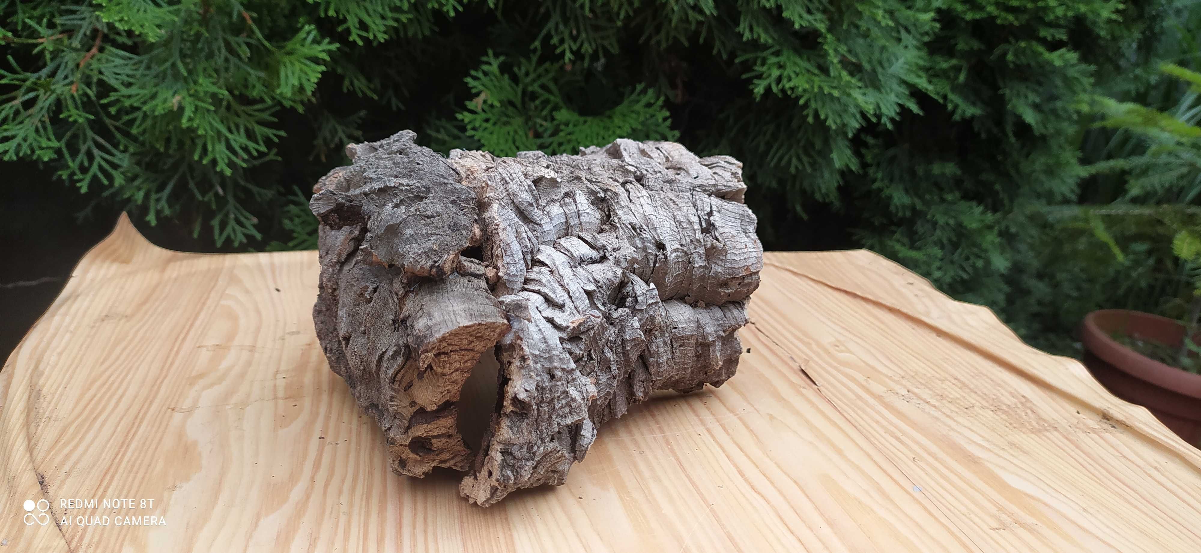 Grota z dębu korkowego do terrarium