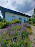 Dom jednorodzinny parterowy Typu Bungalow