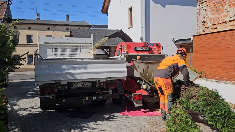 Alpinistyczna wycinka drzew, usługi rębakiem Drewex s.c.