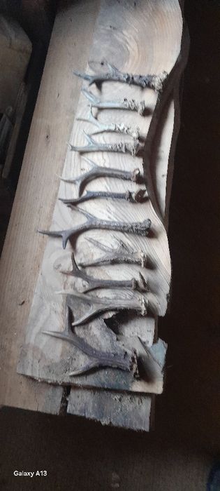 Роги косулі роги цапа