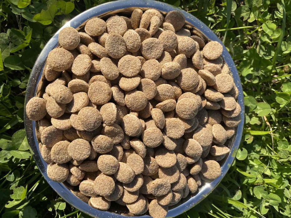 Корм для собак Good Friend 20кг