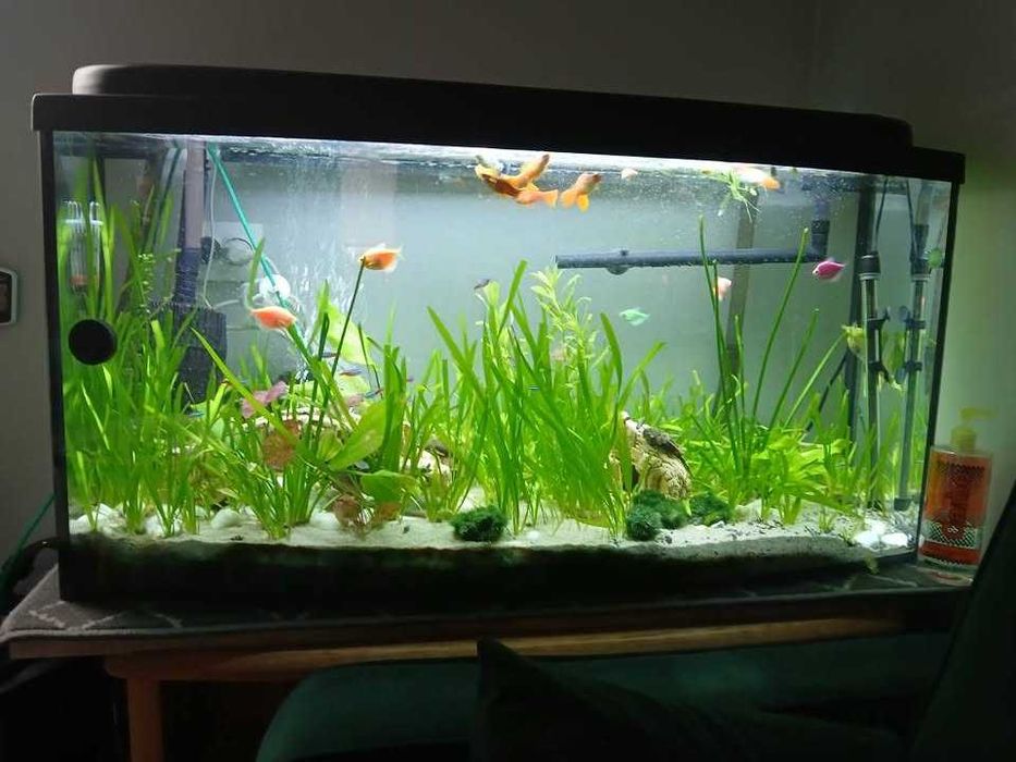 Kompletne akwarium 250 l+ pokrywa+filtr
